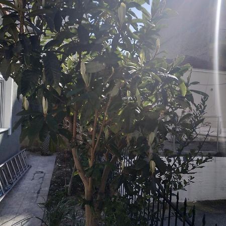 Agelikis' Apartments Nea Kallikrateia ภายนอก รูปภาพ